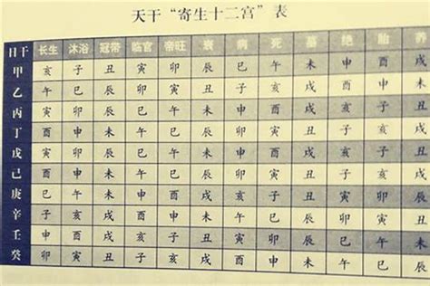 對八字|八字命盤排盤